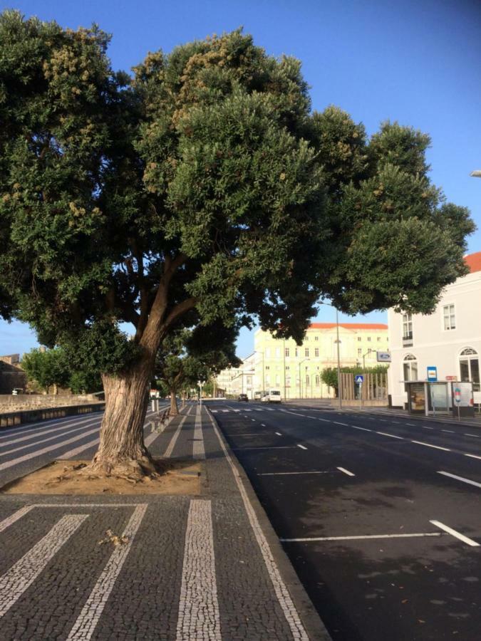 Ap'S Do Forte Ponta Delgada Kültér fotó